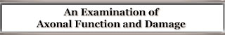 Axonal Function and Damage