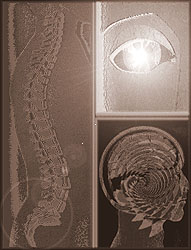 CT Scans