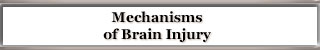 Mechanisms of Brain Injury