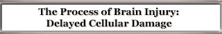 Delayed Cellular Damage
