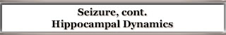 Hippocampal Dynamics