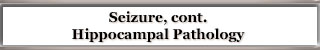 Hippocampal Pathology